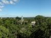 tikal-1