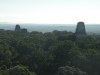 tikal-3