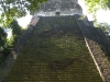 tikal-7