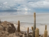 isladepescado-2