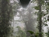 monteverde-6