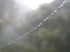 monteverde-7