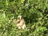 pampatour-11