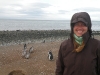 pingus-punta-arenas-15