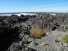 tofino_ucluelet-4