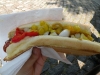 Toronto HotDog