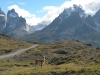 torres-del-paine-np-7