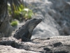 tulum-8