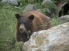 wildlifepark-4