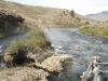 mammoth-hot-springs-1