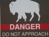 wildlife-1